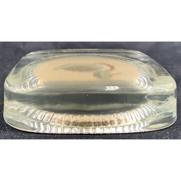 Needlepoint Duck Glass Paperweight 3.25" Square Vintage - Picture 5 of 7